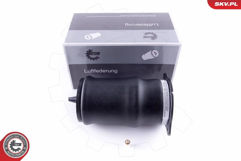 Air Spring, suspension